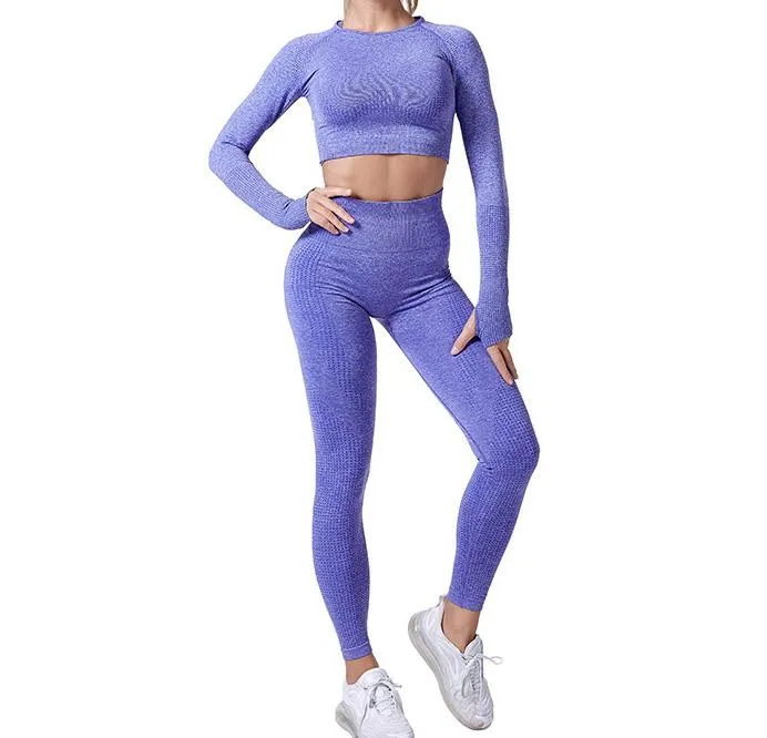 2 Pieces Long Sleeves Gym Suit Yoga Seamless Leggings Crop Top Set