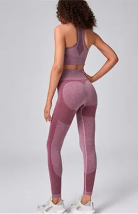 Seamless 2 Piece Gym Set