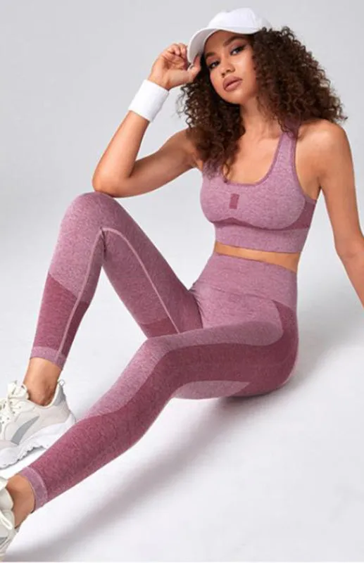 Seamless 2 Piece Gym Set