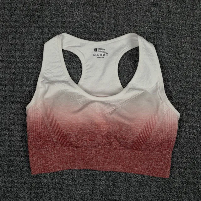 Seamless Pink and White Ombre Padded Sports Bra and Leggings Gym Set