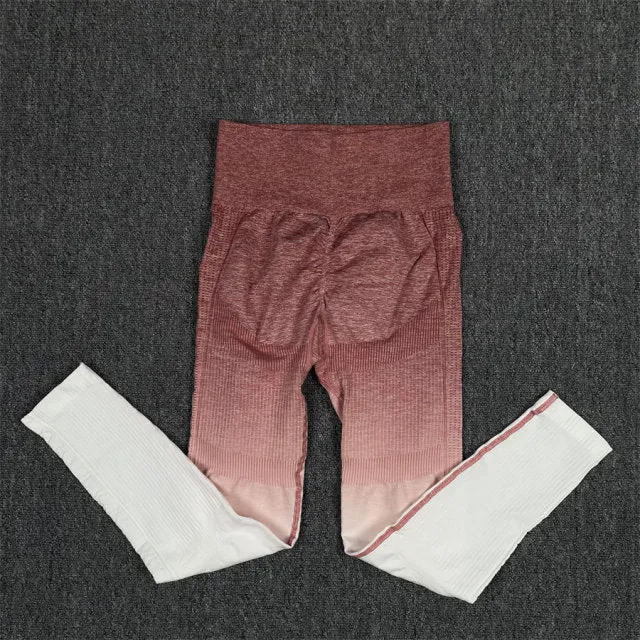 Seamless Pink and White Ombre Padded Sports Bra and Leggings Gym Set