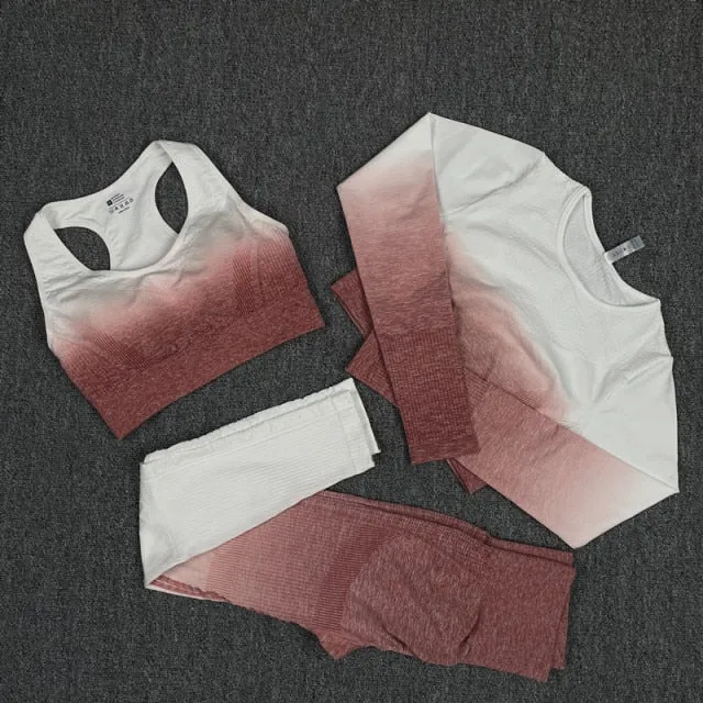 Seamless Pink and White Ombre Padded Sports Bra and Leggings Gym Set