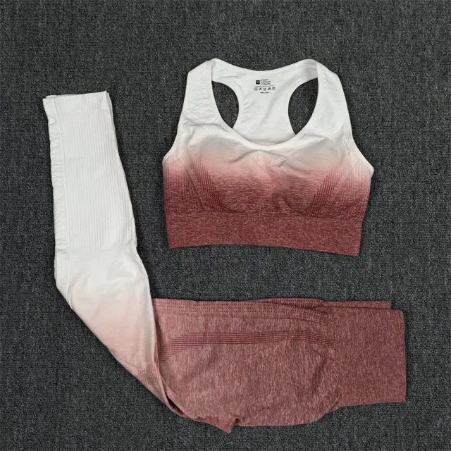 Seamless Pink and White Ombre Padded Sports Bra and Leggings Gym Set