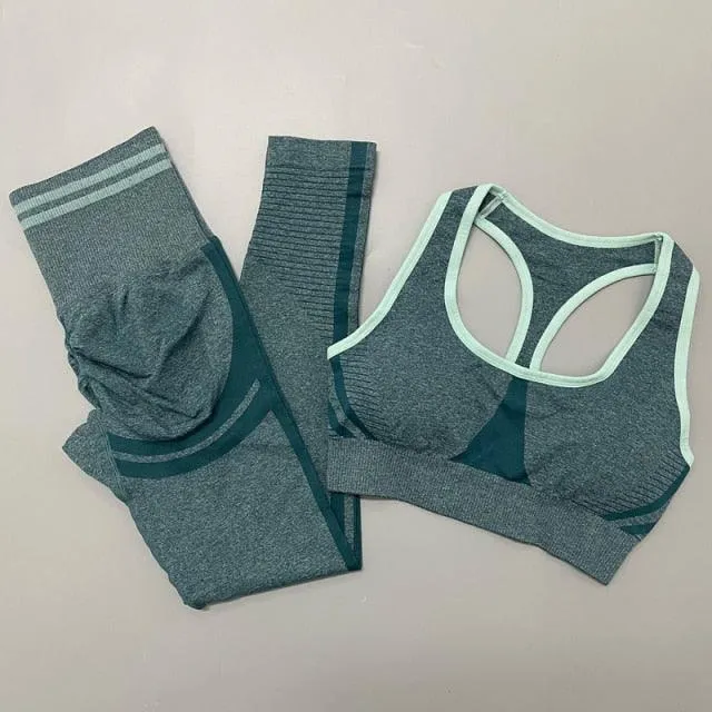 Seamless Women Yoga Sets Fitness Bra   High Waist Leggings