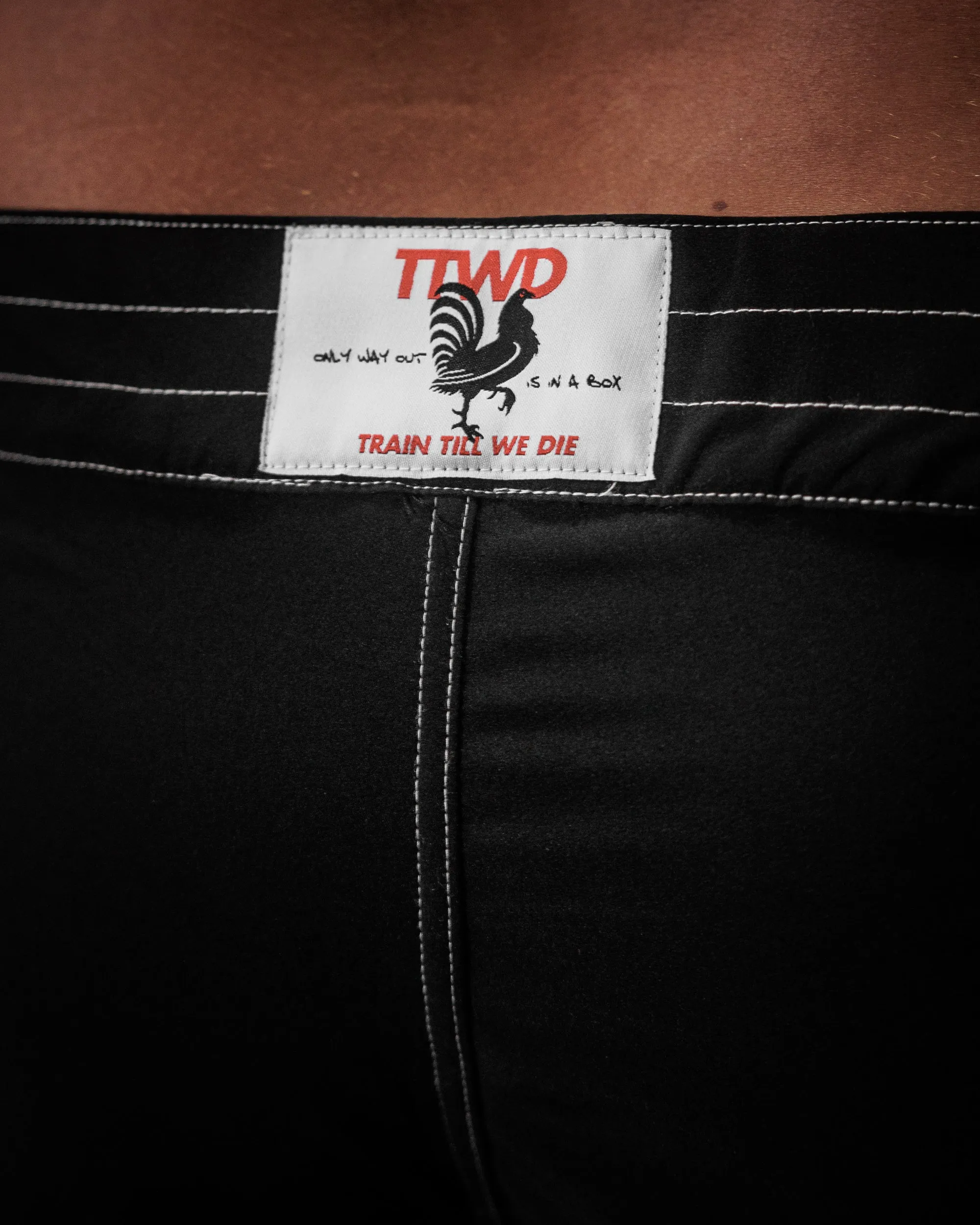 The Beach Fight Shorts