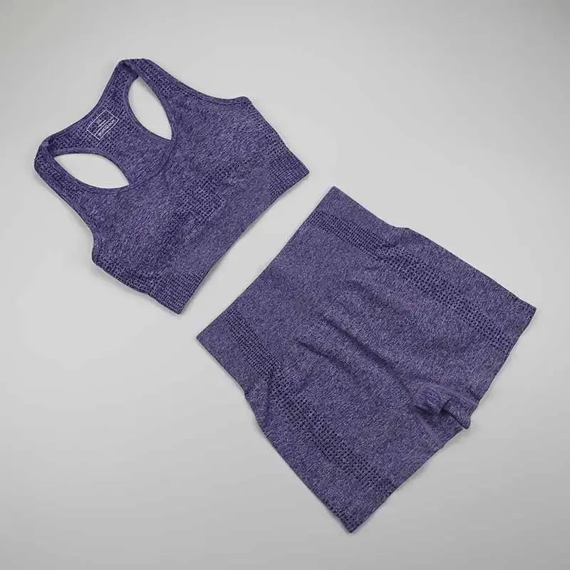 Workout Clothes For Women Yoga Sports Suits Sport Bra Top High Waist Fitness Shorts 2-Piece Gym Set Running Sportswear