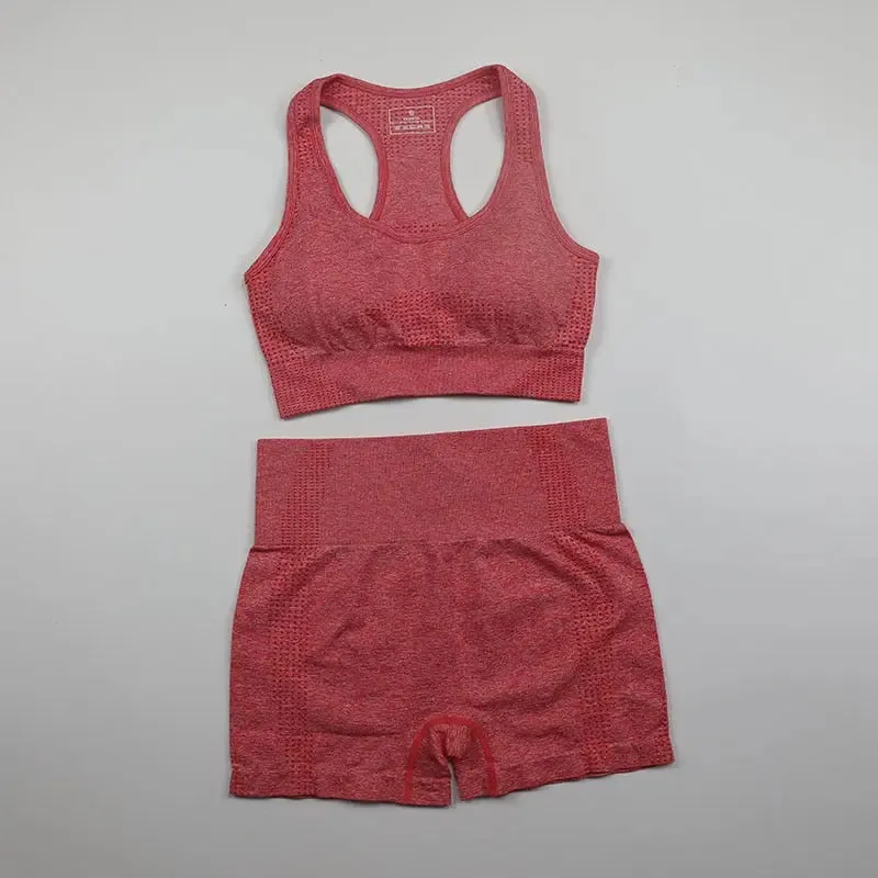 Workout Clothes For Women Yoga Sports Suits Sport Bra Top High Waist Fitness Shorts 2-Piece Gym Set Running Sportswear